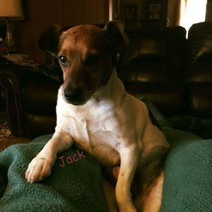 Meet your Posher, Bobby